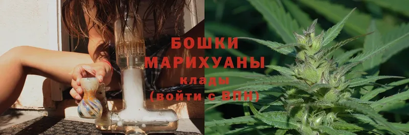 Конопля OG Kush  Владикавказ 